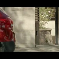 دانلود سریال سالهای دور از خانه قسمت پنجم رایگان