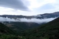 جنگل ابر و باد هرایر