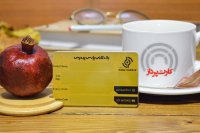 کارت پرداز 67991-021 | نمونه چاپ کارت گارانتی پی وی سی شرکت پارس پردیس