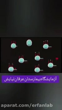 آنچه که باید در مورد ویروس HIV و بیماری ایدز بدانید