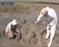 جشنواره مجسمه‌های گلی