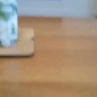 ما بفکر چه مشکلاتى هستیم تو زندگى این دوتا سر چى دعوا دارن 🐹🍪🐶😂