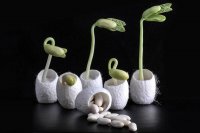 اکتشافات و اختراعات تازه در زمین و هوا