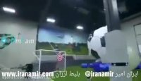 رفقای حرفه ای و توپ پینگ پنگ