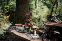 باصفاترین رستوران در دل جنگل