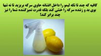 هیچ وقت دیگه پوست لیمو رو دور نریزید