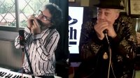 harmonicas of the world