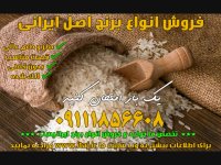 خرید برنج هاشمی ، فروش برنج هاشمی ، قیمت برنج هاشمی 09111856608