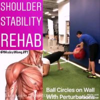 توانبخشی بی ثباتی شانه