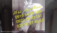 آبکاری فانتاکروم روی مجسمه 09038144727نیوکالر