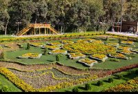 خرید آنلاین گل در کرج