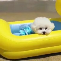 تفریحات تابستونی نزدیکه