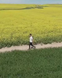 دشت‌های زیبای ترکمن صحرا