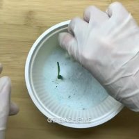 بهترین روش خشک کردن گل