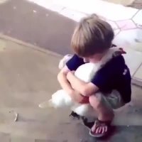 کلیپ تاثیر گذار عشق میان حیوانات و انسان ها