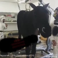 دستگاه مخمل پاش کارینو فلوک .مخملپاش صنعتی۰۲۱۳۶۴۷۲۳۰۶