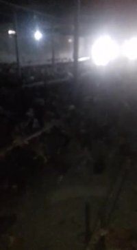 فروش یکدست مرغ 3ماهه بومی گلپایگان09131007689