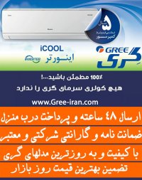 کولر گازی اینورتر گری