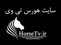 بزرگترین سایت اسب و سوارکاری ایران