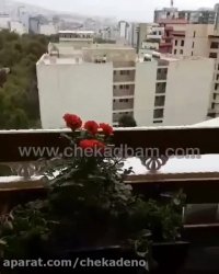 پروژه تراس سبز