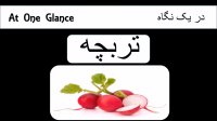 خواص و فواید تربچه