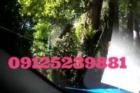 ترمیم ترک خوردگی برلیانس 09125239881