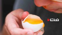 ‏اصلاح الگوی مصرف تخم مرغ از نظر مرد زیبای ایران