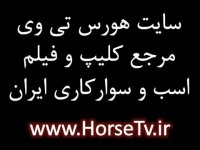 گزارش تصویری باشگاه سوارکاری و پرورش اسب شهررضا