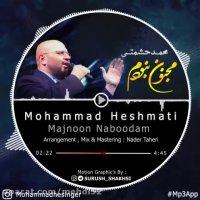 مجنون نبودم - محمد حشمتی
