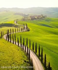 بهشت عکاسان طبیعت دوست - تراونر