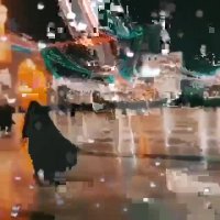 دانلود کلیپ امام رضا مخصوص استوری