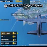 وقتی اسکین هواپیمات انتخواب میشه