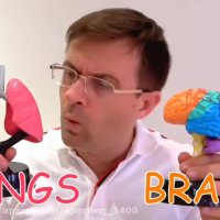 برنامه کودک جدید دیاناشو - دیانا روما جدید - سرگرمی بازی کودکانه