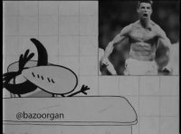 کلیپ خنده دار ایرانی برای جام جهانی