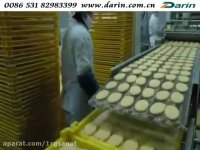 Hamburger Patty Processing Line _ www.darin.com.cn