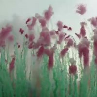 خلق اثر هنری با انفجار !!!