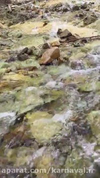 کارناوال | روستای آهار | آبشار شکرآب