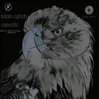 دانلود آهنگ ساعت عقاب از سعید فورسی با کیفیت اورجینال