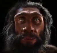 تکامل چهره انسان